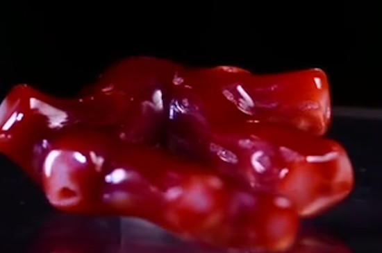 阿卡珊瑚和沙丁珊瑚的区别