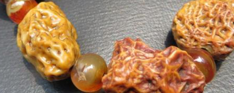 筋脉石的功效和作用