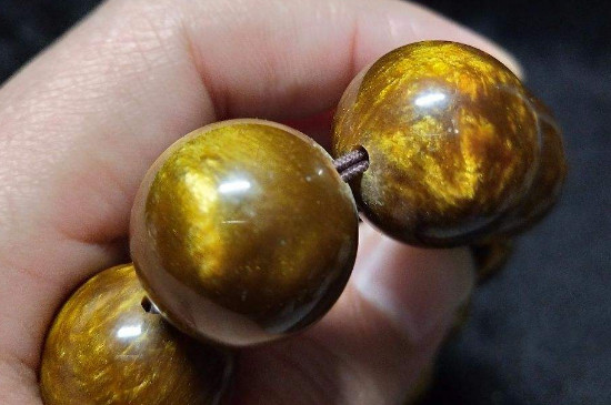 金丝海柳如何辨别真伪