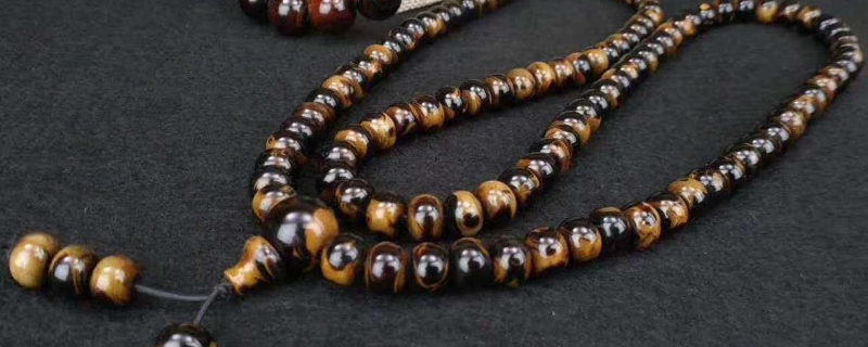 金丝海柳如何辨别真伪