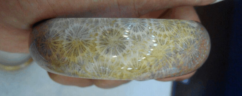 珊瑚玉和翡翠哪个好