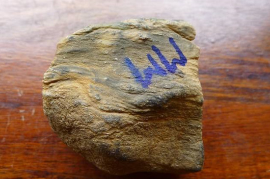 莫西沙大象皮原石特点