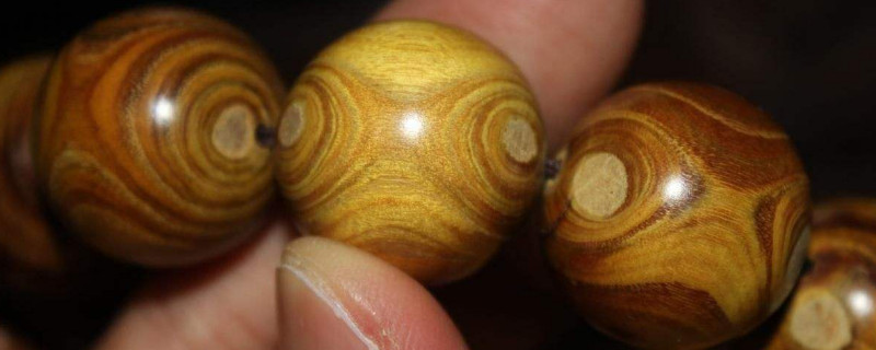 黄金柚产地在哪里