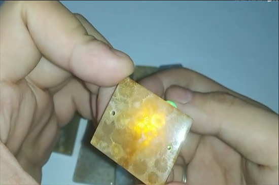 珊瑚玉的功效与作用