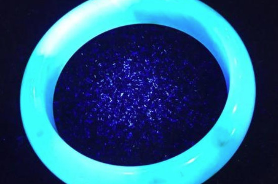 翡翠b货在灯光下的图片，翡翠b货有哪些特征