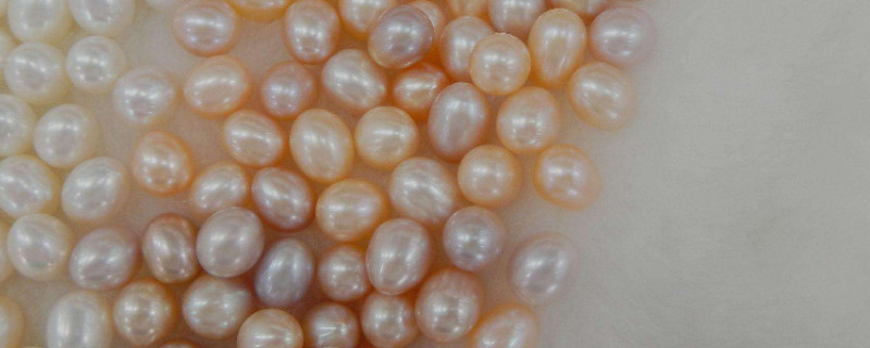 河蚌里的珍珠是怎么形成的