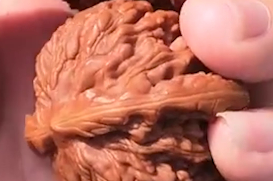 新文玩核桃怎么盘