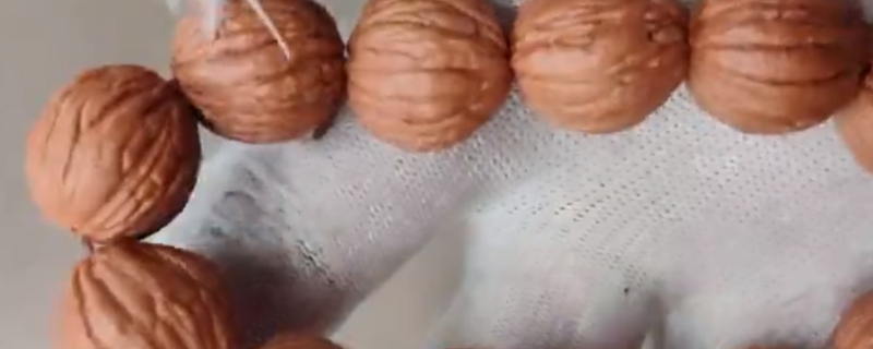 文玩核桃怎么挑选