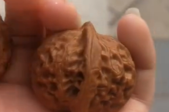 文玩核桃种类