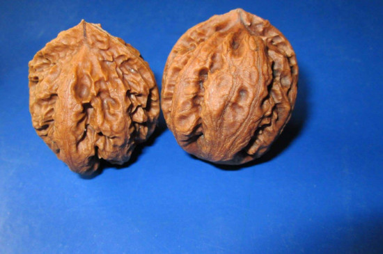 文玩核桃怎么上色快