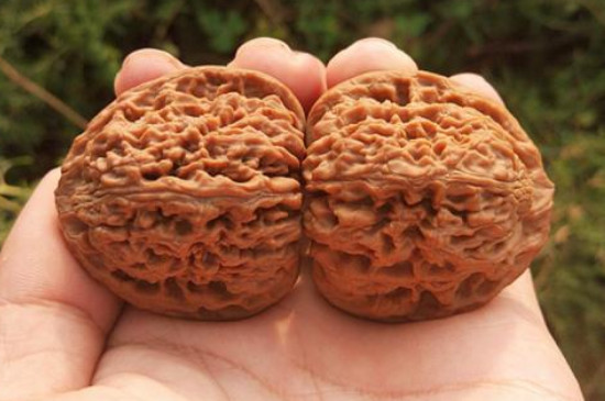 文玩核桃为什么要刷