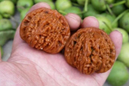 青皮文玩核桃怎么去皮