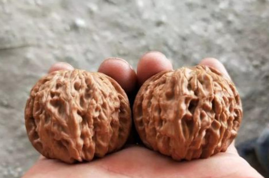 文玩核桃阴皮怎么处理