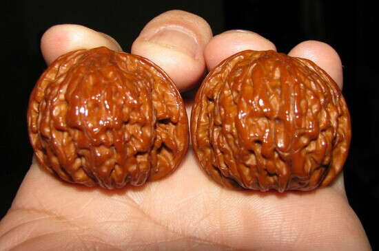 文玩核桃生虫怎么办