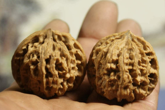 文玩核桃可以用水刷吗