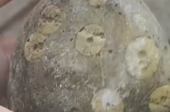 什么是天珠原石