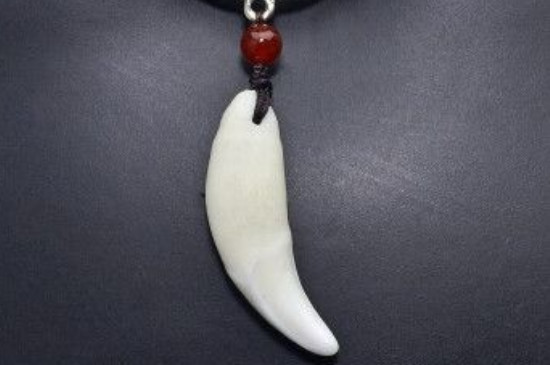 牙牙是什么珠宝