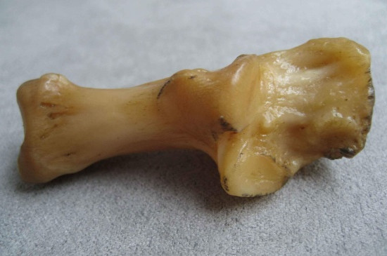 虎骨怎么辨别真假