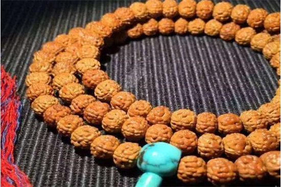 金刚菩提黄皮多久上色