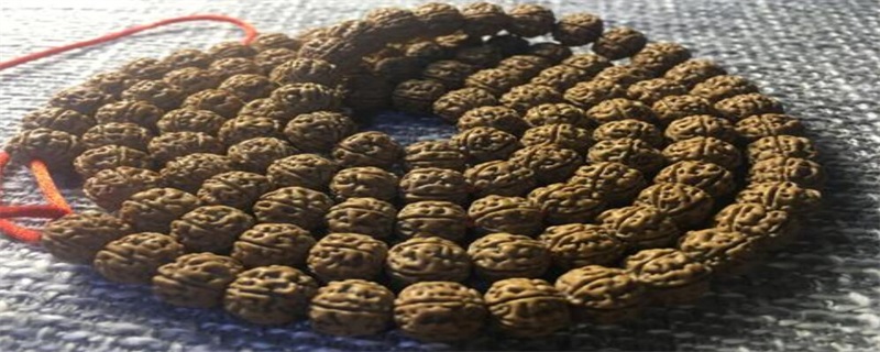 金刚菩提冬天怎么盘