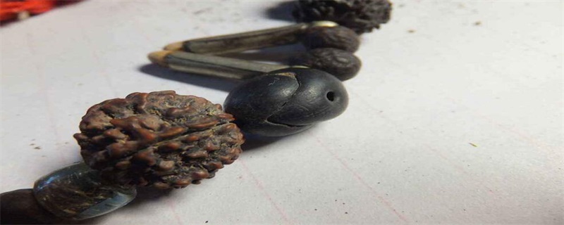 菩提子的作用与功效