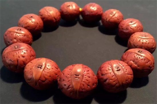 凤眼菩提怎么挑选