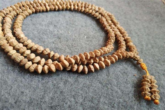 金叶莲花菩提寓意