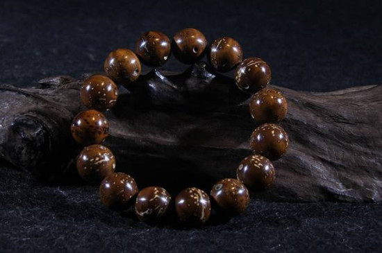 紫金鼠是什么树的种子