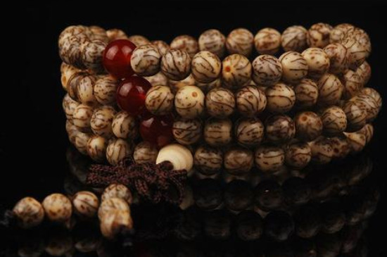 金线菩提子有什么寓意