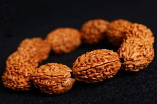 小金刚菩提寓意