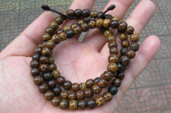 星月菩提怎么戴