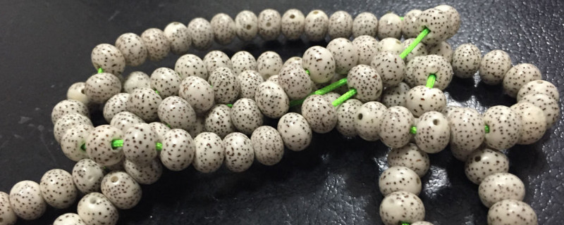 星月菩提都有什么品种