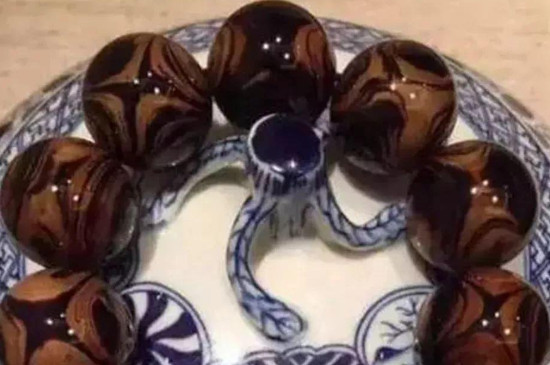 海柳开裂了怎么恢复