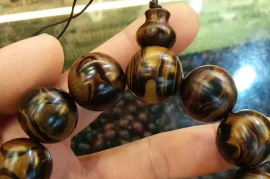 海柳开裂了怎么恢复