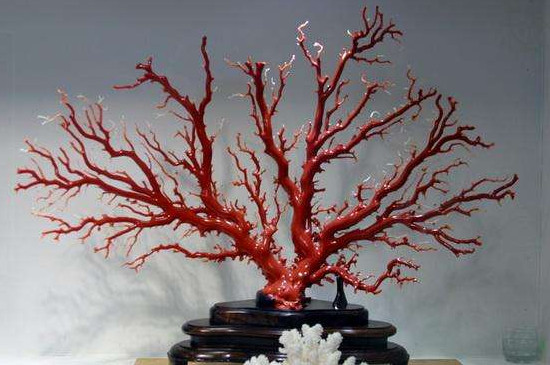 文玩小红是什么材质