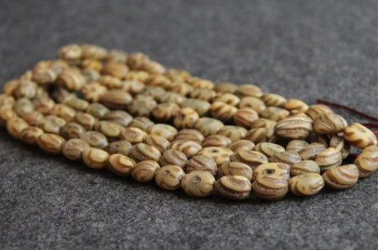 佛手菩提是什么籽