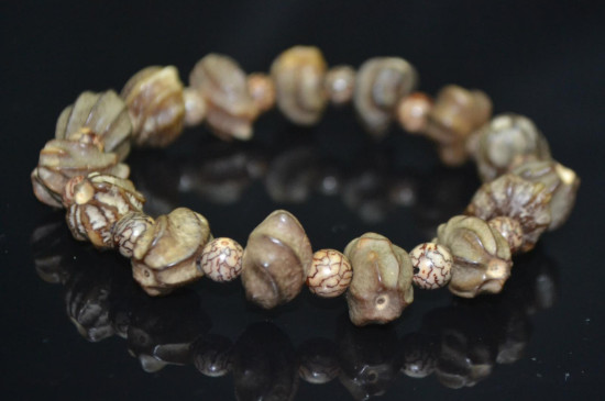 佛手菩提是什么籽